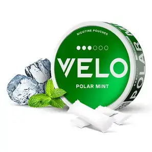Velo Polar Mint 10mg Nicotine Pouches in Dubai Abu Dhabi and UAE